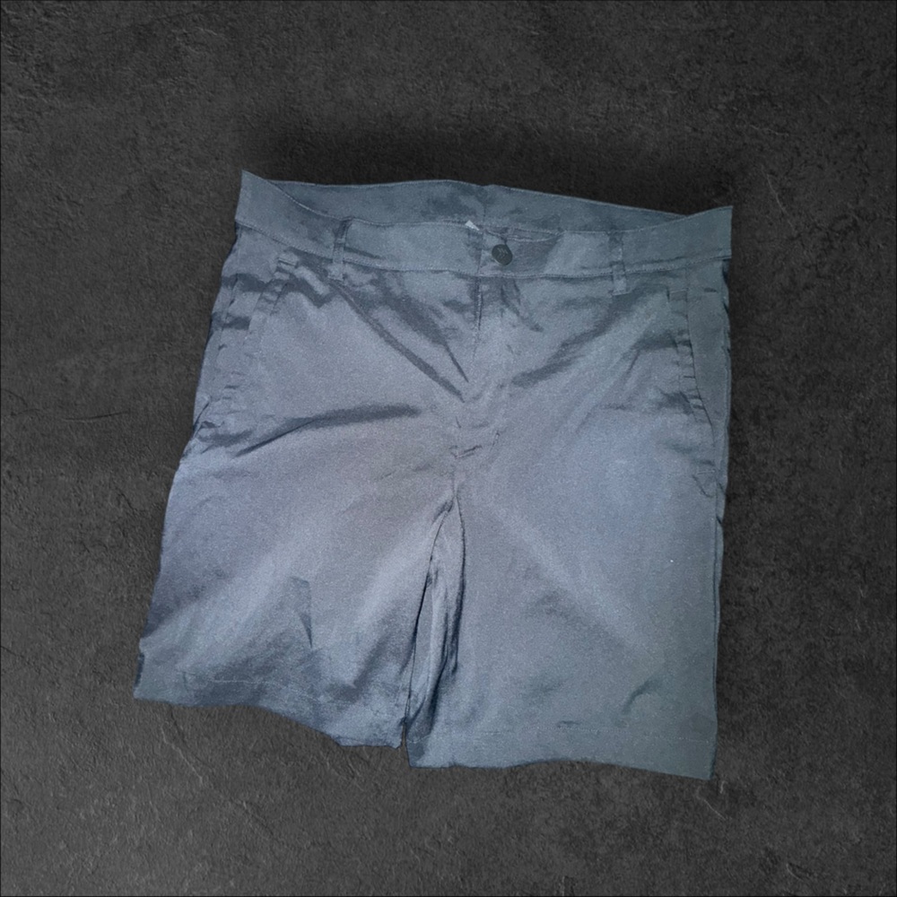 All in Motion men Blue Shorts